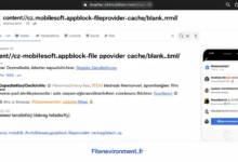 content://cz.mobilesoft.appblock.fileprovider/cache/blank.html