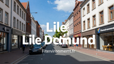 Lille Dortmund