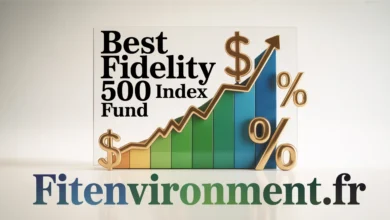 Best Fidelity 500 Index Fund