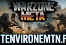 Warzone Meta