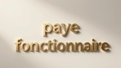 paye fonctionnaire