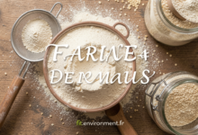 Farine de Maïs