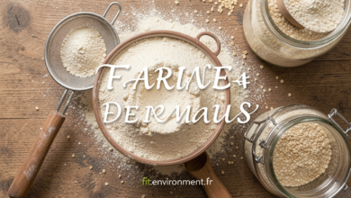 Farine de Maïs