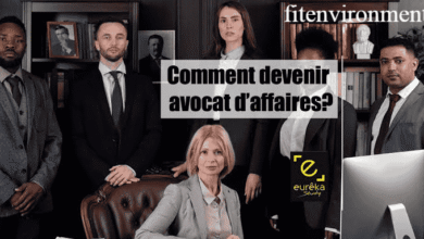 avocat droit des affaires