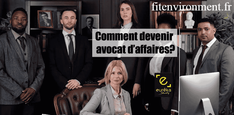 avocat droit des affaires